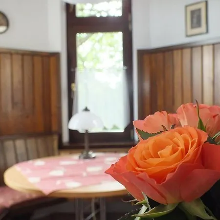 Parkschlößchen Hotel Maasdorf (Brandenburg)