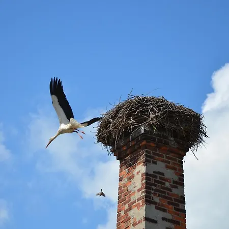 Hotel Parkschloesschen Maasdorf (Brandenburg)