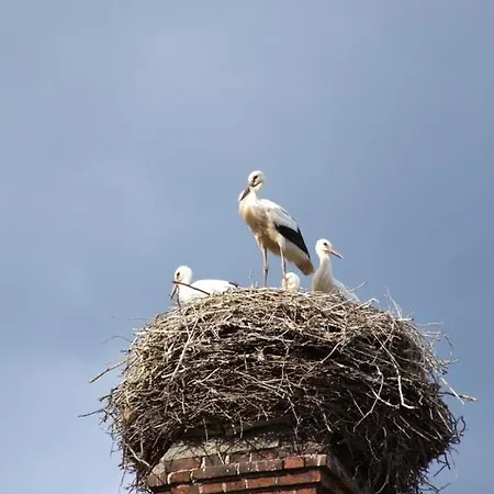 Hotel Parkschlößchen Maasdorf (Brandenburg)